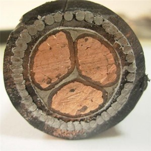 OEM منخفض الجهد متعددة النوى المدرعة كابل 3 كور الطاقة كابلات مع قائمة الحجم