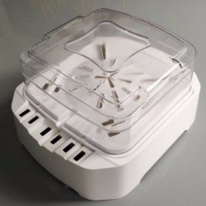 قوالب النموذج