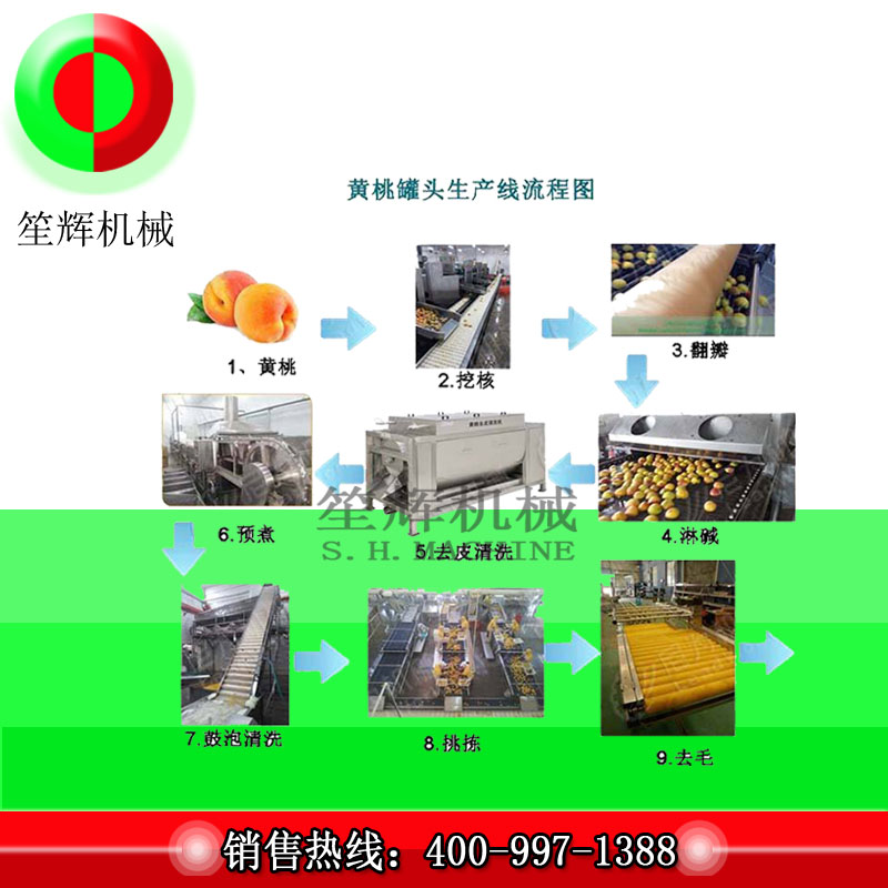 خط إنتاج تجهيز الفاكهة الكبيرة / خط إنتاج تجهيز الخوخ الأصفر