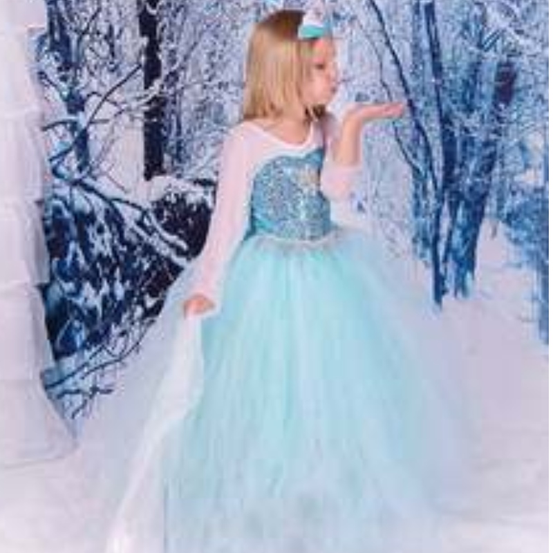 Baige TV&movie Elsa Anna Girl Party Performance Dresses Halloween Cosplay Dresses Comples