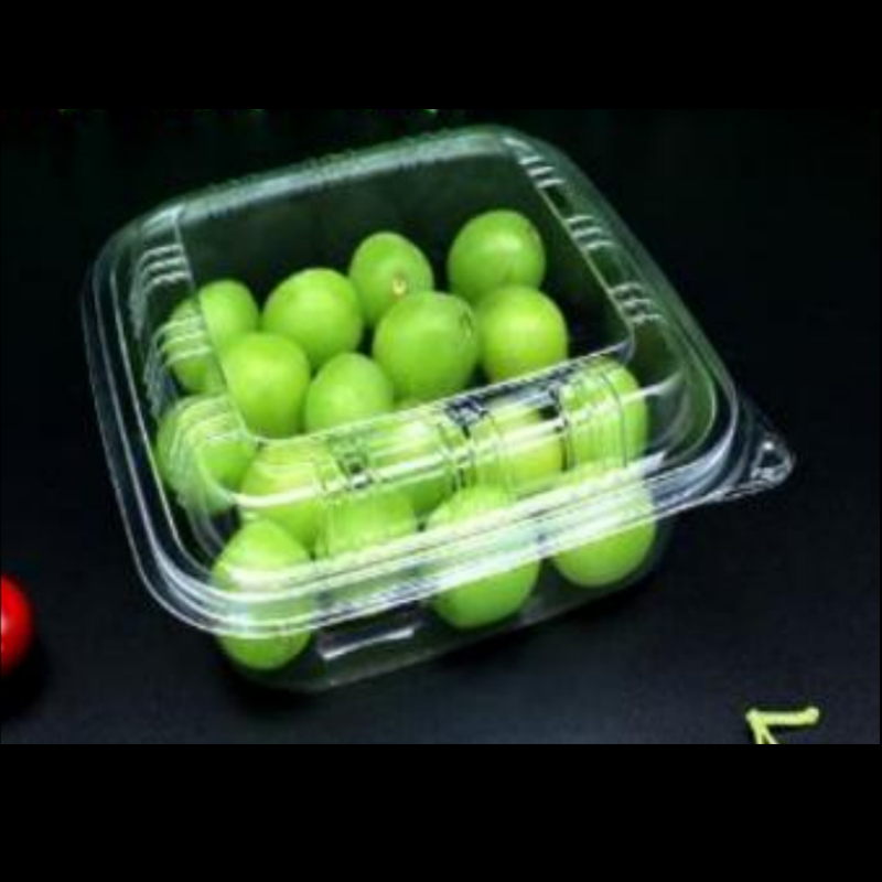 Salad Box 155*155*60 mm hgf-1616hb