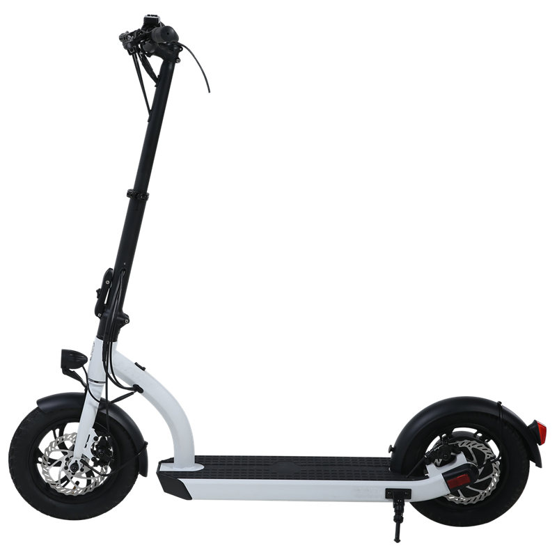 H8- 12inch 48V Scooter/يمكن أن يمر EN17128/براءات الاختراع الاتحاد الأوروبي